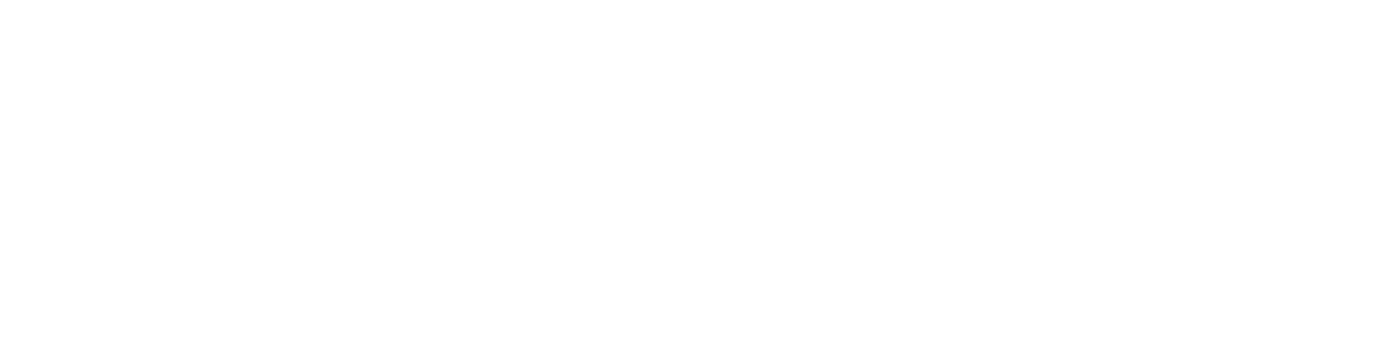 DISPAROS POR LA CULATA